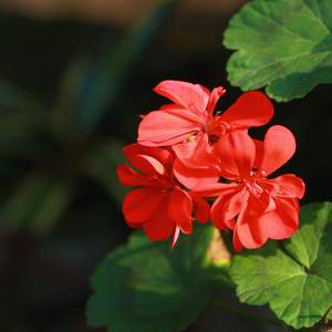 久久久无码精品亚洲日韩尤物
